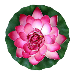 Лилия плавающая 28х28 см малиновый