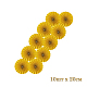 photo-2935706
