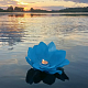 photo-2925747