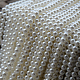 photo-2944014